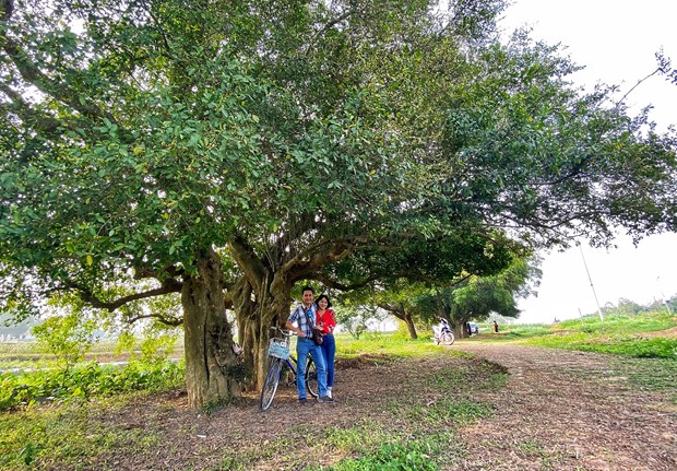 [Photo] Dung duoi vom duoi di san doc dao o xu Doai may trang bay hinh anh 11