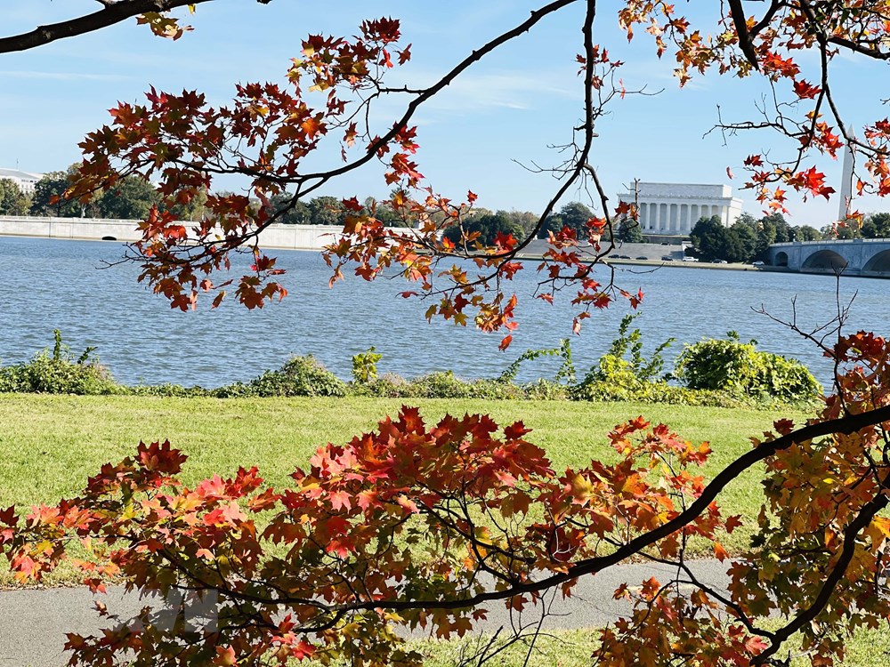 [Photo] Dam minh trong khong gian mua Thu vang o nuoc My hinh anh 7