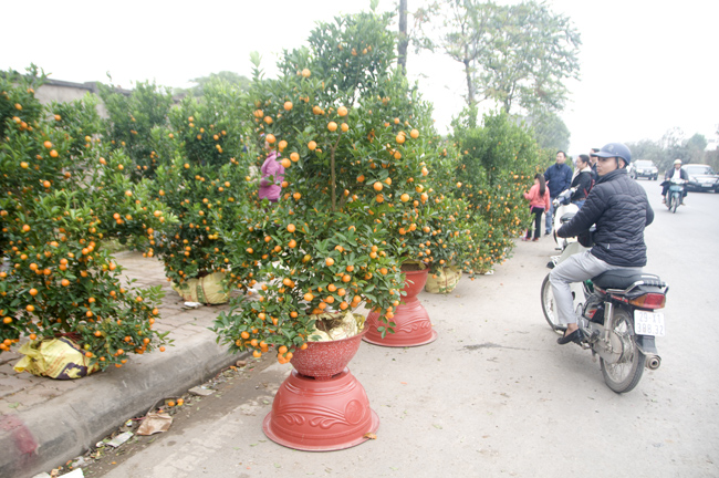 Tấp nập mua sắm tap nap mua sam