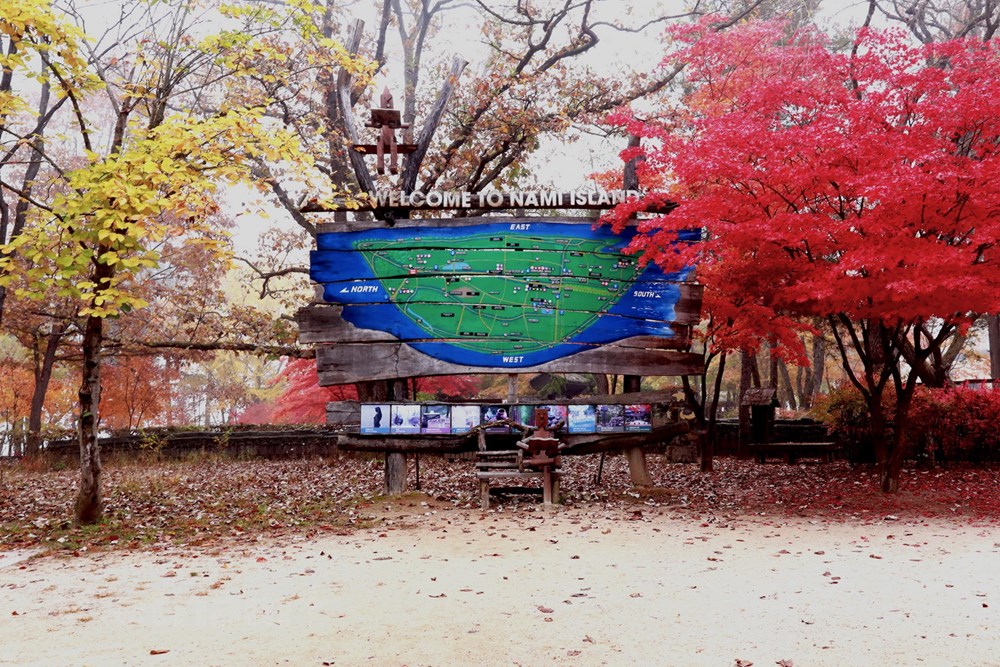 Han Quoc: Dao Nami tro thanh diem hut khach du lich thoi ky hau COVID hinh anh 13