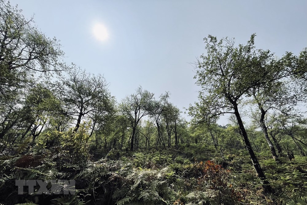 [Photo] Dinh Lung Cung - diem du lich trai nghiem hap dan o Yen Bai hinh anh 5