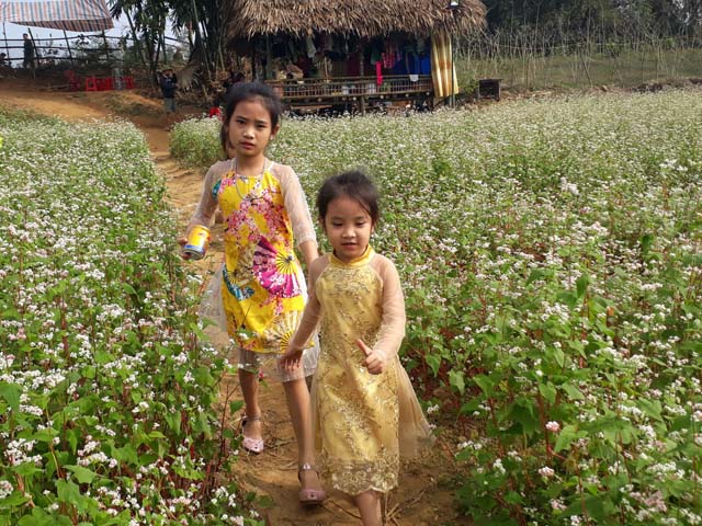 dep me hon voi sac xuan tren ban lang vung cao tay bac hinh anh 6