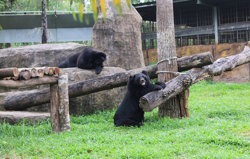 "Bách khoa hoang dã" đặc biệt nhất Việt Nam - Ảnh 6.