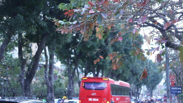 Nao lÃ²ng vá»i HÃ  Ná»i mÃ¹a cÃ¢y thay lÃ¡ - 6