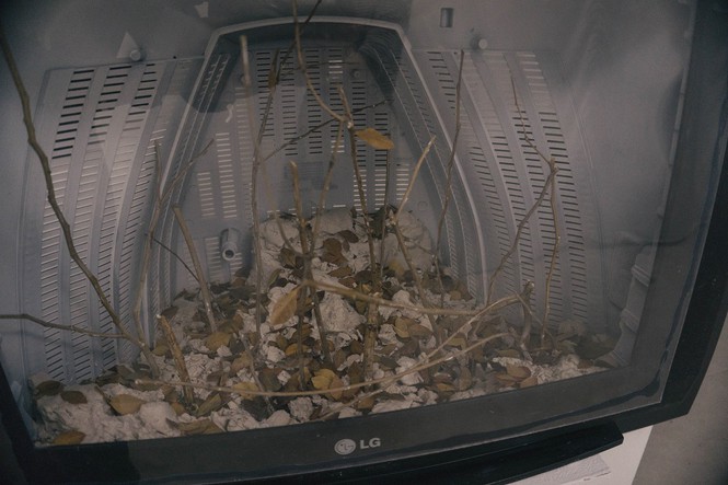 Con ngÆ°á»i á» ÄÃ¢u trong âhÃ nh tinh cá»§a nhá»±aâ?  - áº£nh 8