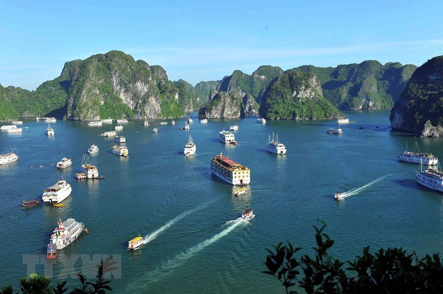 Trang du lich The Travel xep hang cao Vinh Ha Long va dia dao Cu Chi hinh anh 1