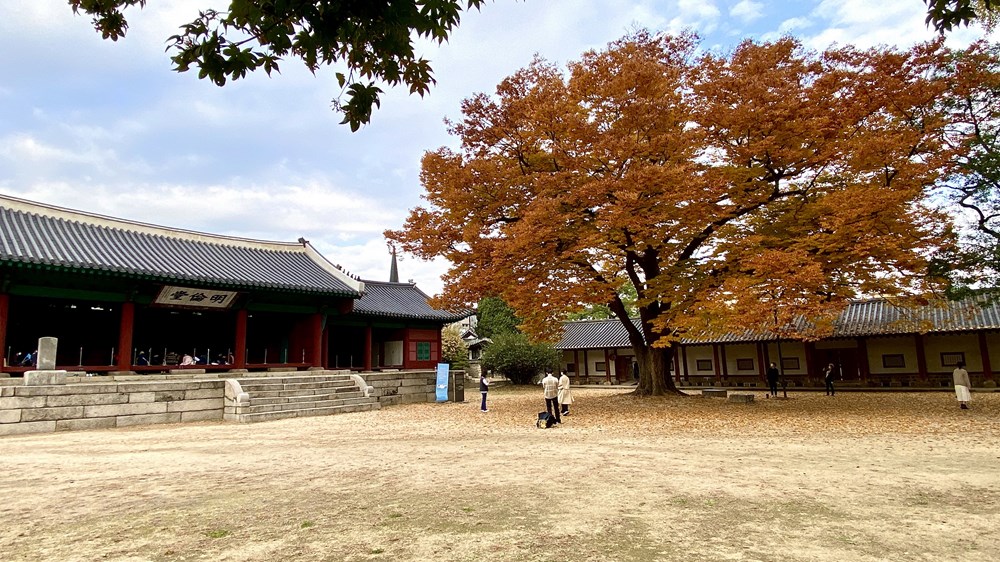 Ngam mua Thu vang dep den nao long tai xu so Kim Chi hinh anh 23