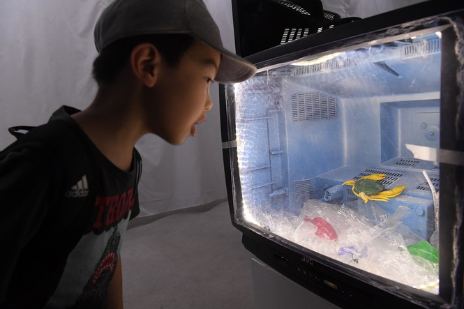 Con ngÆ°á»i á» ÄÃ¢u trong âhÃ nh tinh cá»§a nhá»±aâ?  - áº£nh 9