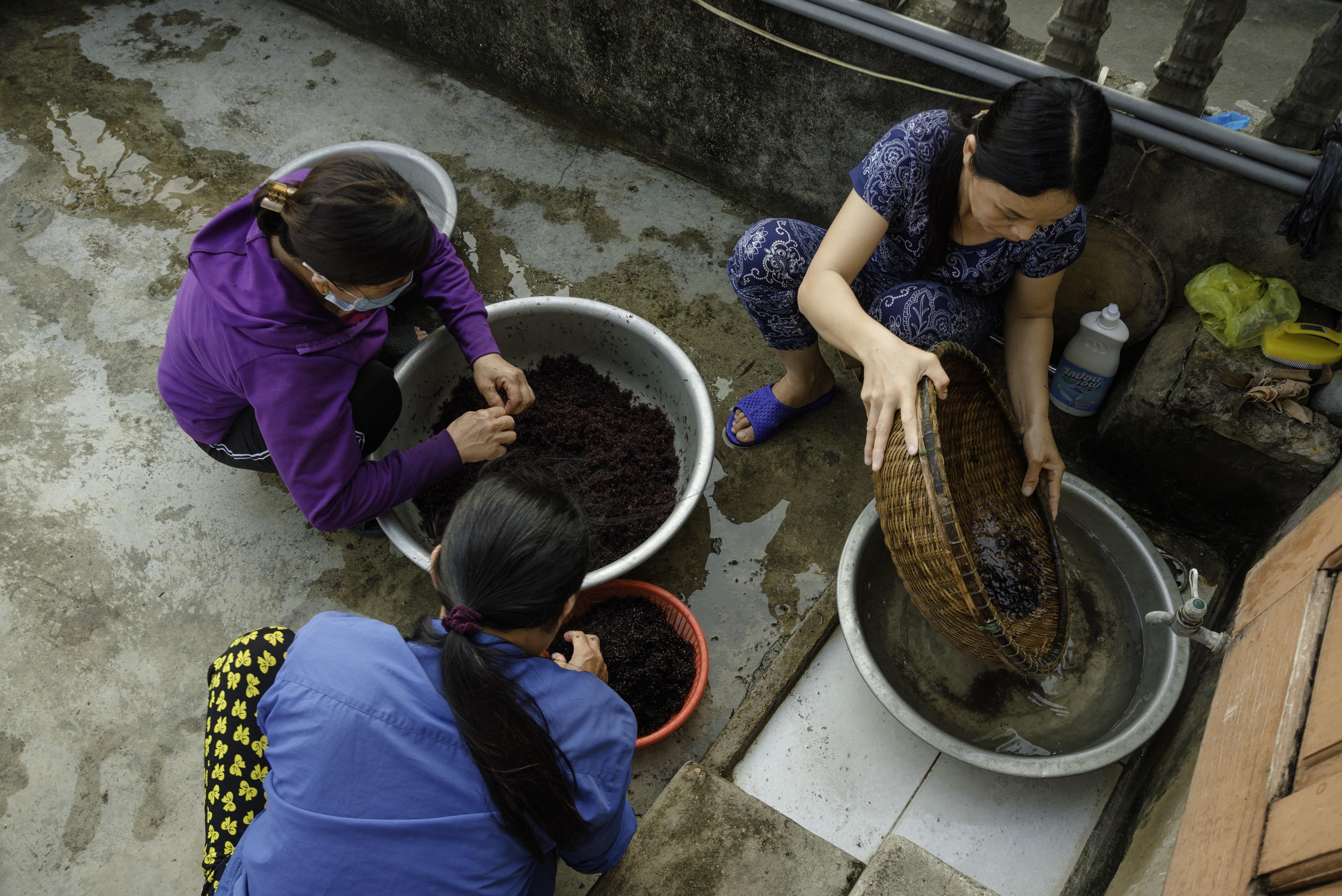 Lạ kỳ thứ bánh làm từ rau cạo ở biển, ăn kèm với cá kho mới ngon hình ảnh 4 la ky thu banh lam tu rau cao o bien, an kem voi ca kho moi ngon hinh anh 4