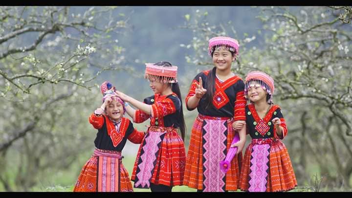 Mãn nhãn ngắm mùa hoa mận trên cao nguyên Mộc Châu hình ảnh 3 man nhan ngam mua hoa man tren cao nguyen moc chau hinh anh 3