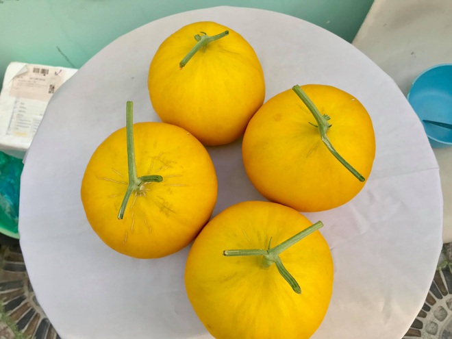 Mê mẩn vườn treo sân thượng, thu 4 tạ quả/ năm của ông bố ở Bình Dương - 13