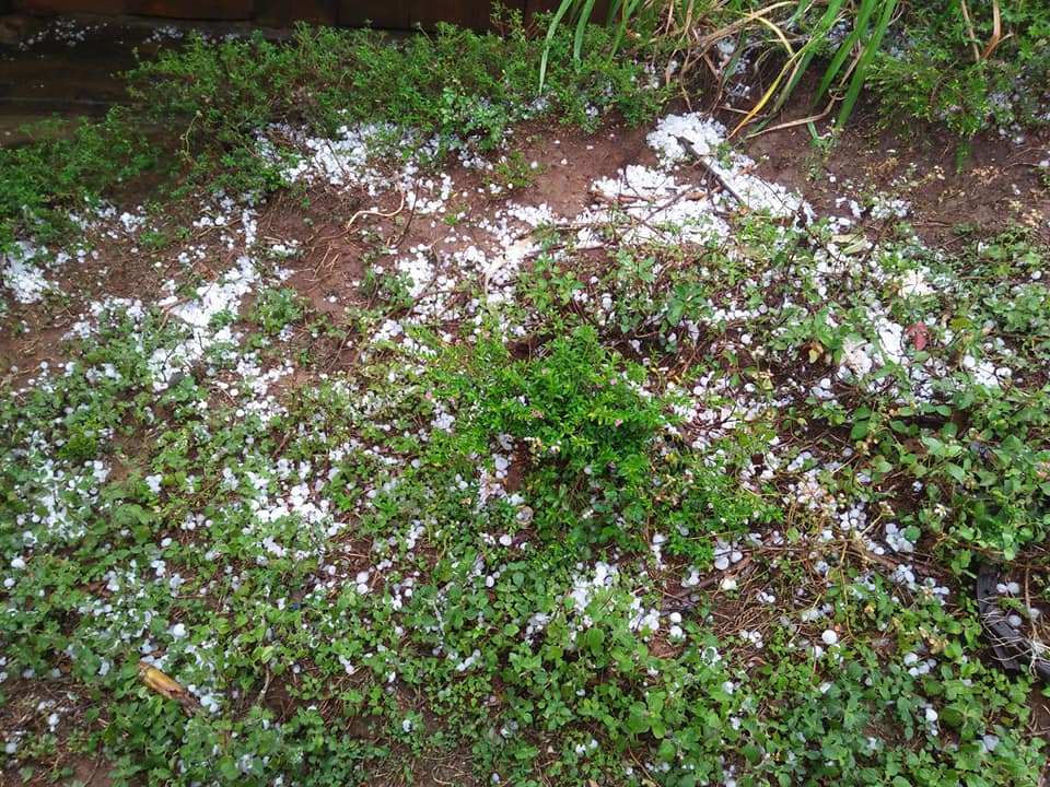 lai chau: mua da du doi, hoa mau cua ba con bi tan pha toi ta hinh anh 2