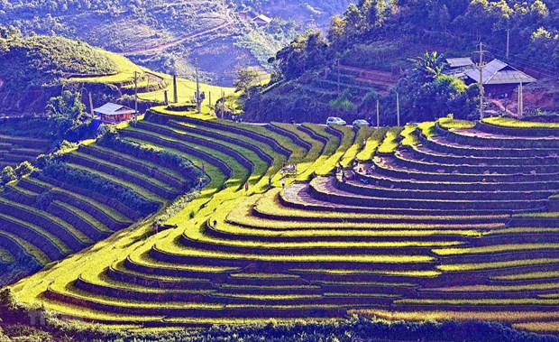 Luong khach du lich do ve Mu Cang Chai ngay cang tang manh hinh anh 1