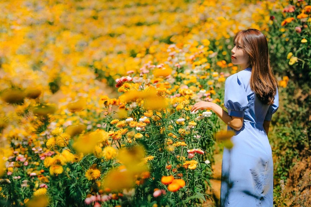 Cảnh sắc như trong truyện tranh ở rừng hoa bất tử tại Đà Lạt - 5