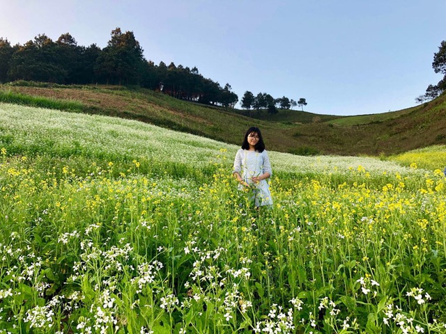 Mê mẩn những cánh Äá»ng hoa Äẹp như thiên ÄÆ°á»ng á» Má»c Châu - 7