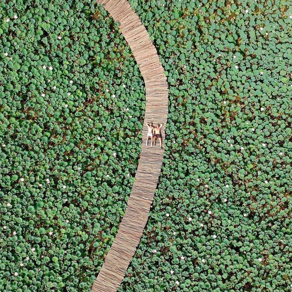 [Photo] Kham pha dam sen duoc menh danh dep nhat Viet Nam hinh anh 3