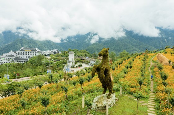 Sun World Fansipan Legend khởi động chuỗi hoạt động chào hè với chủ đề 'Đến Sa Pa bay giữa mùa hoa' ảnh 3