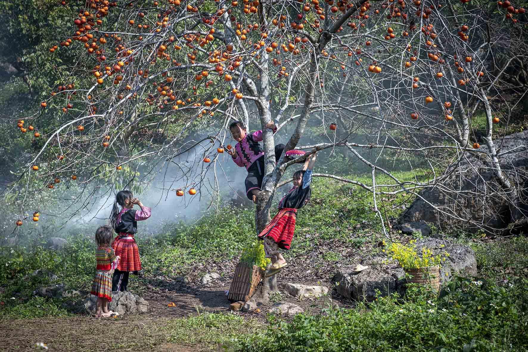 Hoa mận nở trắng trời đẹp như cổ tích ở Mộc Châu - 9