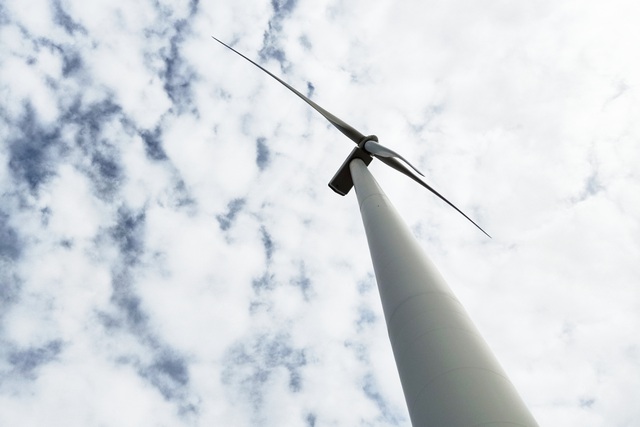 Phát triển du lịch ven biển hút khách ngắm điện gió, xem tôm công nghệ cao - 4