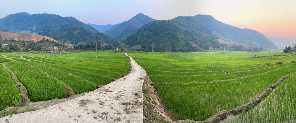 [Photo] Ve dep ruong bac thang mua ma non noi bien gioi Lai Chau hinh anh 4