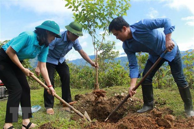 Luong khach du lich do ve Mu Cang Chai ngay cang tang manh hinh anh 2