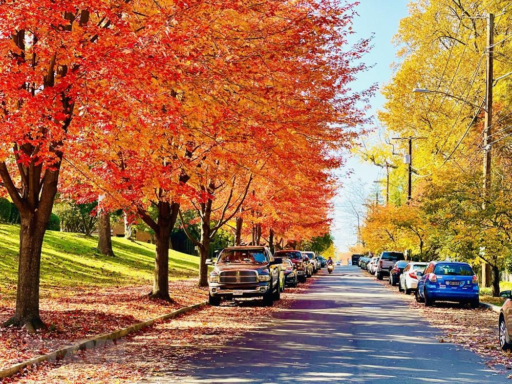 [Photo] Dam minh trong khong gian mua Thu vang o nuoc My hinh anh 1