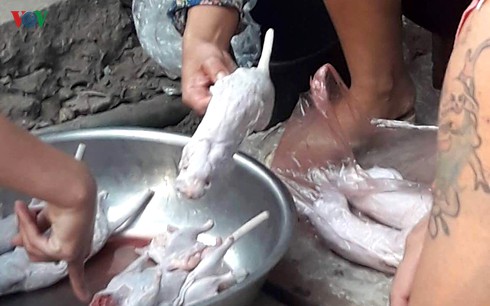 ve dinh bang bac ninh thuong thuc dac san thit chuot hinh 3