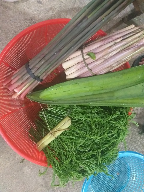 nom rau rung, mon ngon la mieng o mien tay bac hinh anh 1