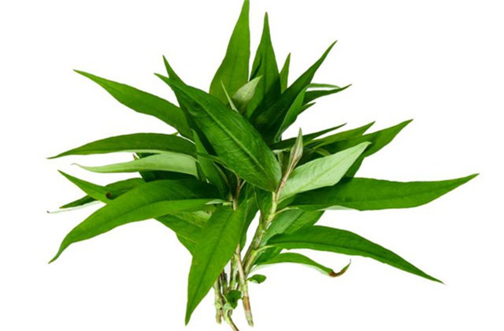 la mieng voi dac san tay nam bo: mon ca ro me kho thuy lieu hinh anh 4