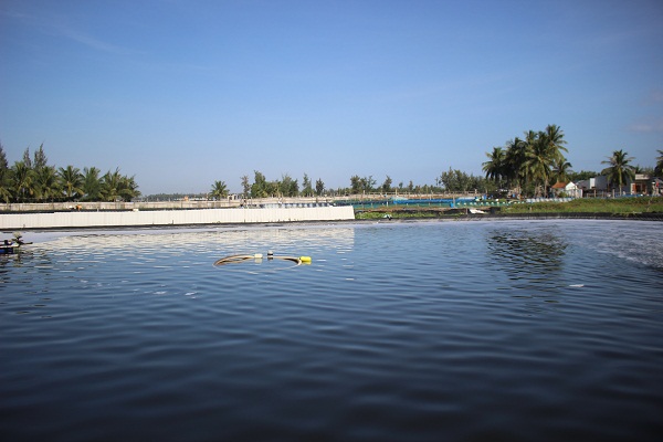 tôm-3-hồ-500-triệu