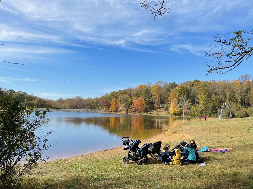 [Photo] Dam minh trong khong gian mua Thu vang o nuoc My hinh anh 8