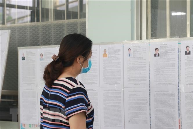 Cu tri TP.HCM voi nhung la phieu trach nhiem va niem tin hinh anh 1