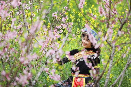 ThiÃªn ÄÆ°á»ng hoa ÄÃ o Äáº¹p cháº³ng kÃ©m Nháº­t Báº£n, HÃ n Quá»c lÃ  ÄÃ¢y chá»© ÄÃ¢u - áº¢nh 4.