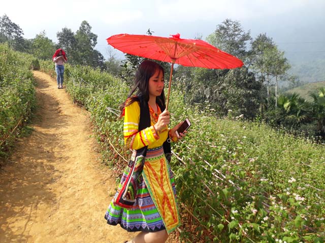 dep me hon voi sac xuan tren ban lang vung cao tay bac hinh anh 10