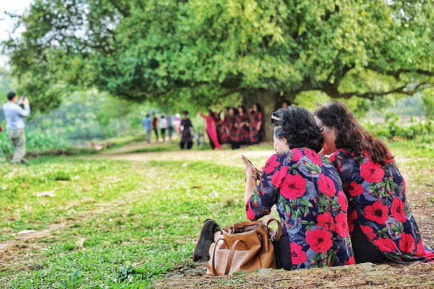 [Photo] Dung duoi vom duoi di san doc dao o xu Doai may trang bay hinh anh 10