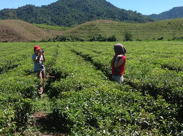 hoi nghi du lich mien nui 2