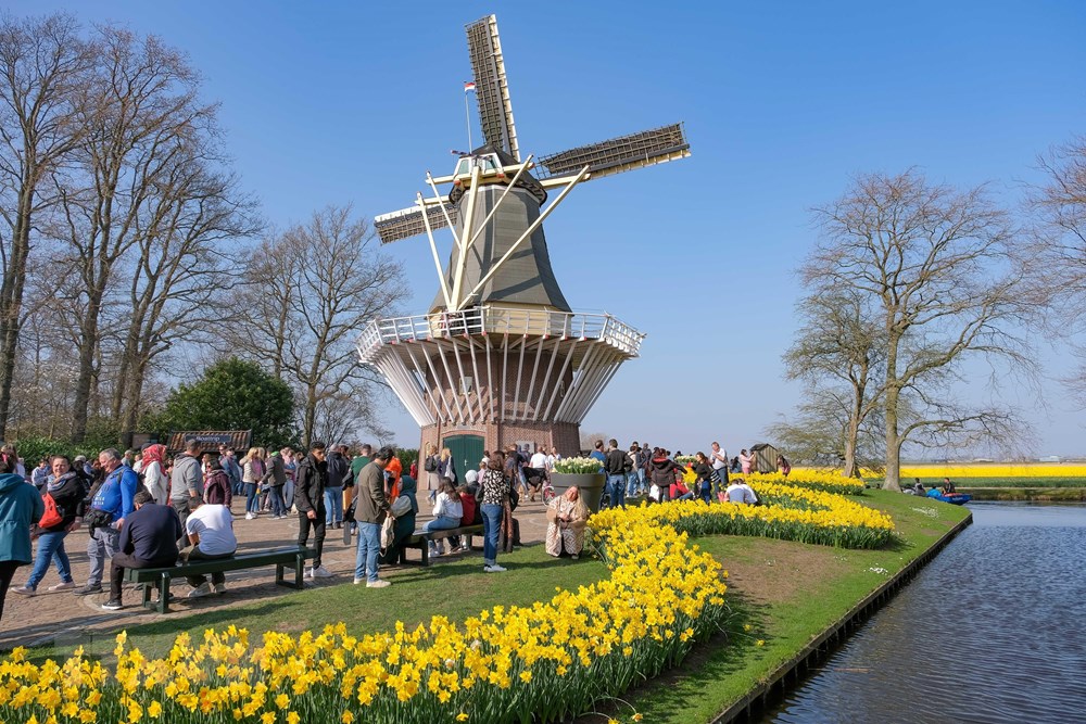 [Photo] Me dam voi thien duong hoa tulip Keukenhof tai Ha Lan hinh anh 6