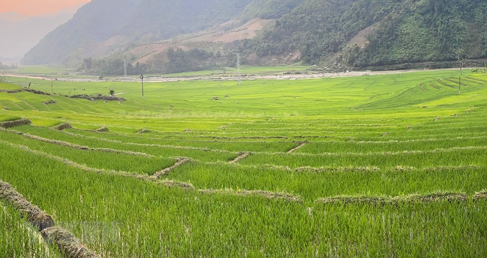 [Photo] Ve dep ruong bac thang mua ma non noi bien gioi Lai Chau hinh anh 3