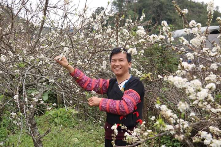 Mãn nhãn ngắm mùa hoa mận trên cao nguyên Mộc Châu hình ảnh 2 man nhan ngam mua hoa man tren cao nguyen moc chau hinh anh 2