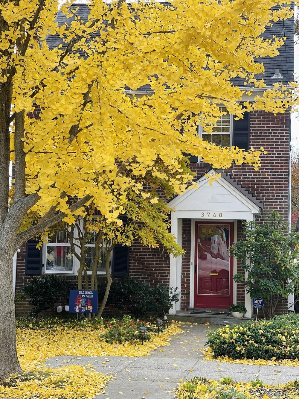 [Photo] Dam minh trong khong gian mua Thu vang o nuoc My hinh anh 16