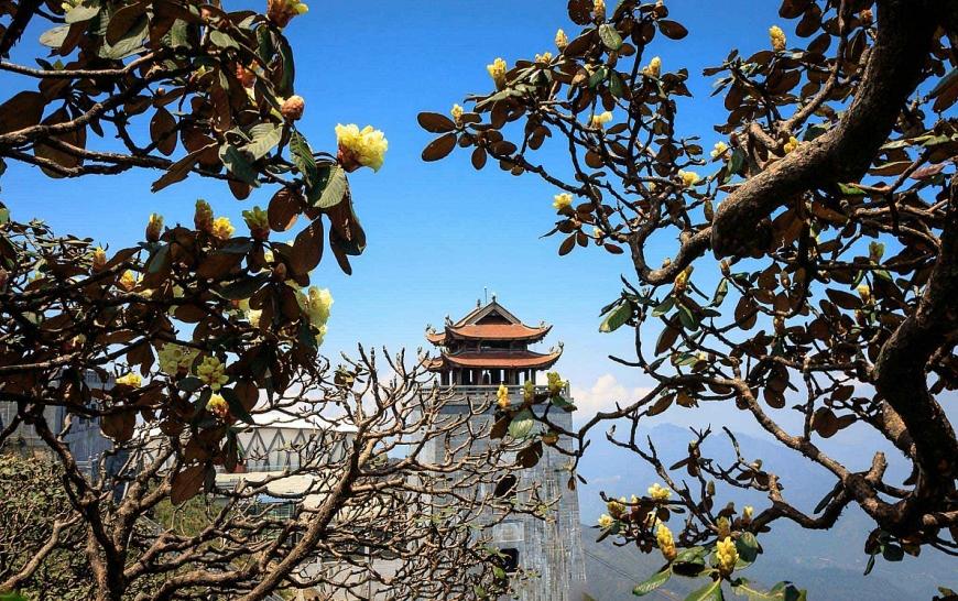 Fansipan – điểm đến luôn khiến dân xê dịch bất ngờ