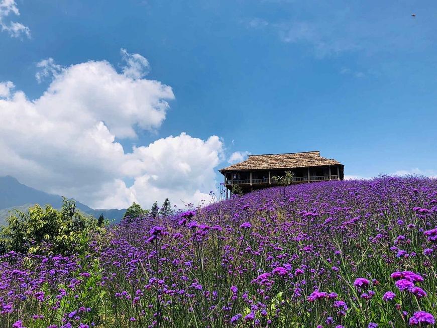 Fansipan – điểm đến luôn khiến dân xê dịch bất ngờ