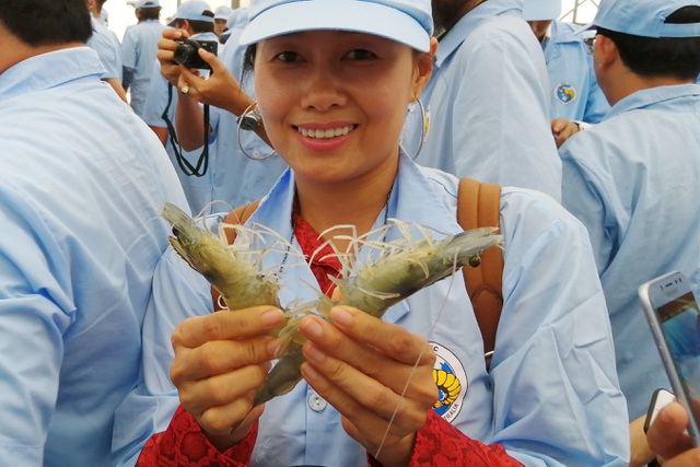 Phát triển du lịch ven biển hút khách ngắm điện gió, xem tôm công nghệ cao - 5