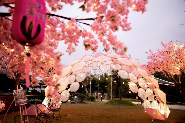 May be an image of flower, outdoors and tree