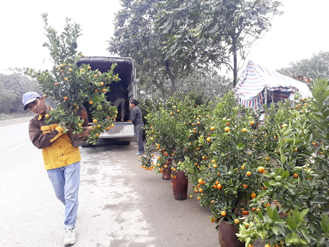 Tấp nập mua sắm tap nap mua sam