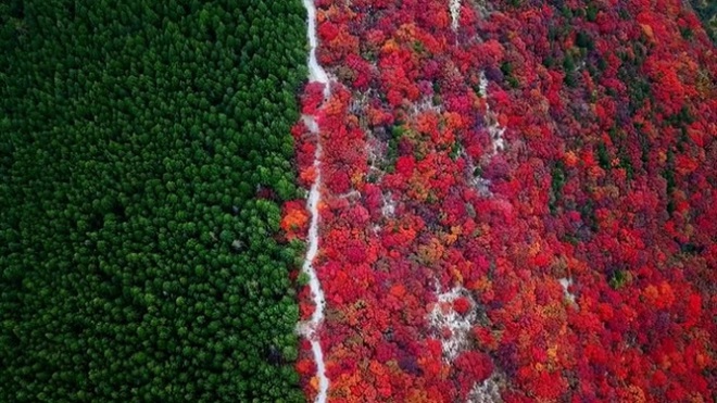 Kinh ngạc với ngọn núi nửa xanh, nửa đỏ - 1