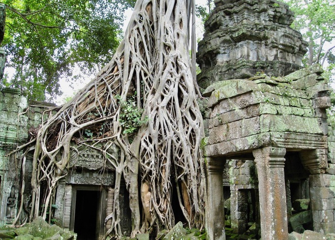 Những sự thật thú vị về kỳ quan Angkor Wat - 8