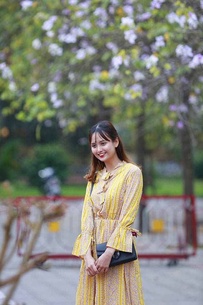 Hoa ban nở rộ khắp phố, chị em nườm nượp hoa ban no ro khap pho, chi em nuom nuop