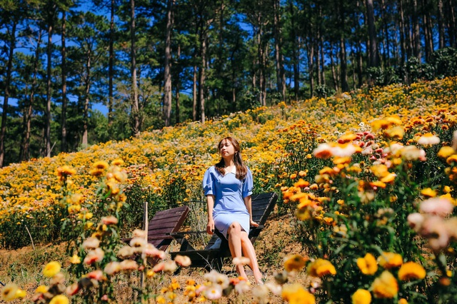 Cảnh sắc như trong truyện tranh ở rừng hoa bất tử tại Đà Lạt - 8