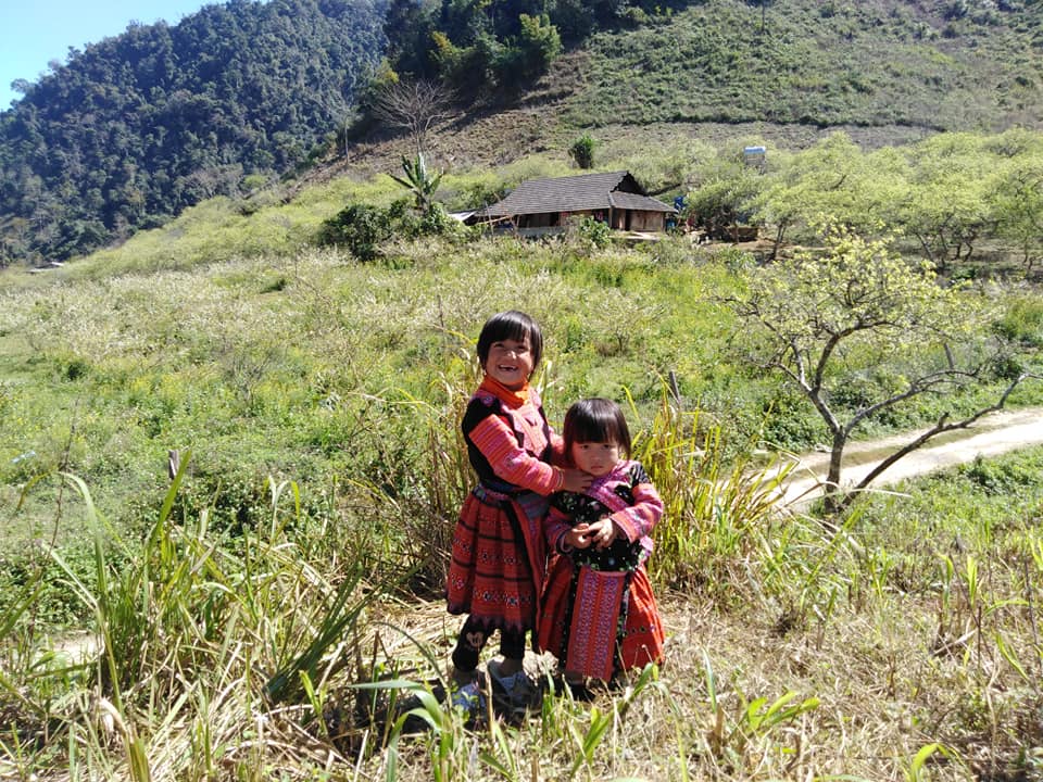 Mãn nhãn ngắm mùa hoa mận trên cao nguyên Mộc Châu hình ảnh 5 man nhan ngam mua hoa man tren cao nguyen moc chau hinh anh 5